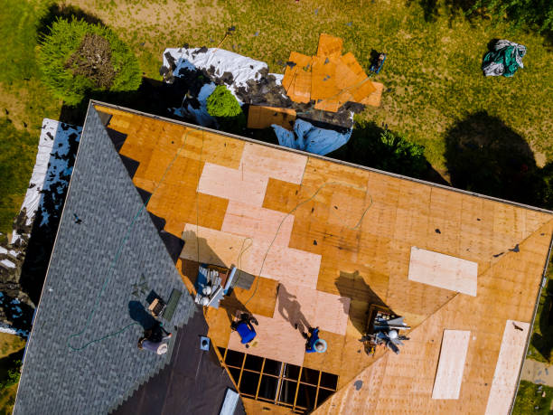 Best Roof Leak Repair  in Bridgeville, DE